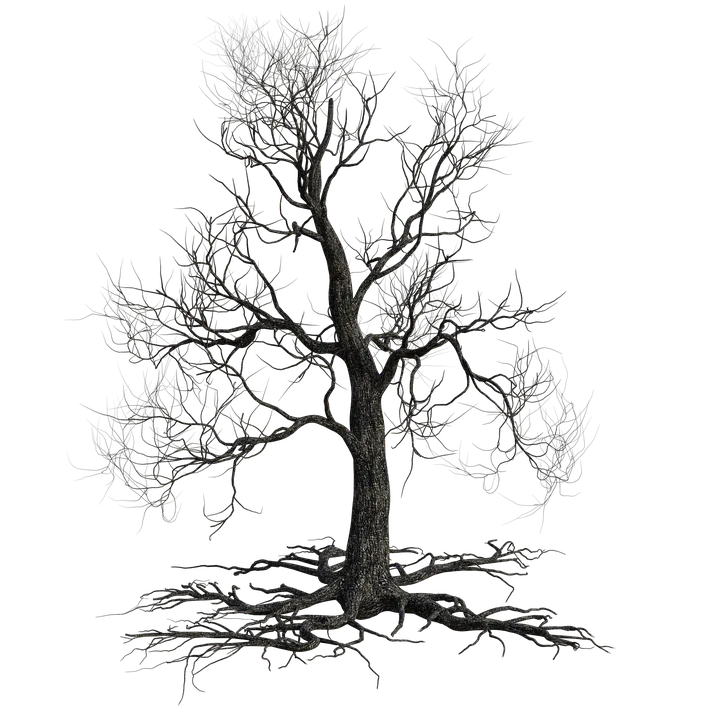 creepy-tree-4567461_960_720.png