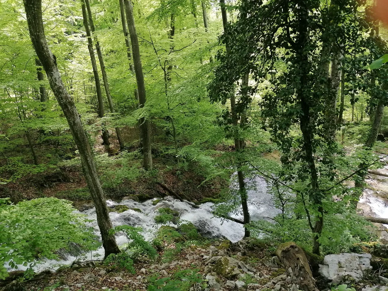 IMG_20230501_144934.jpg
