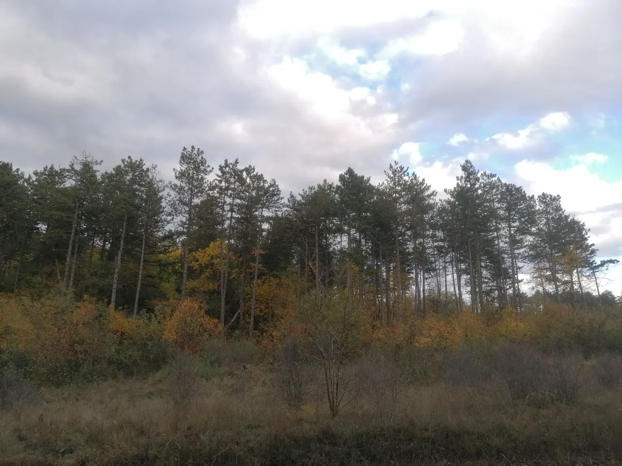 IMG_20231028_162338.jpg