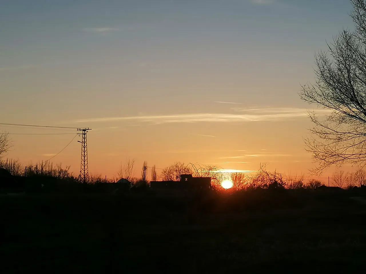 IMG_20240216_165552.jpg
