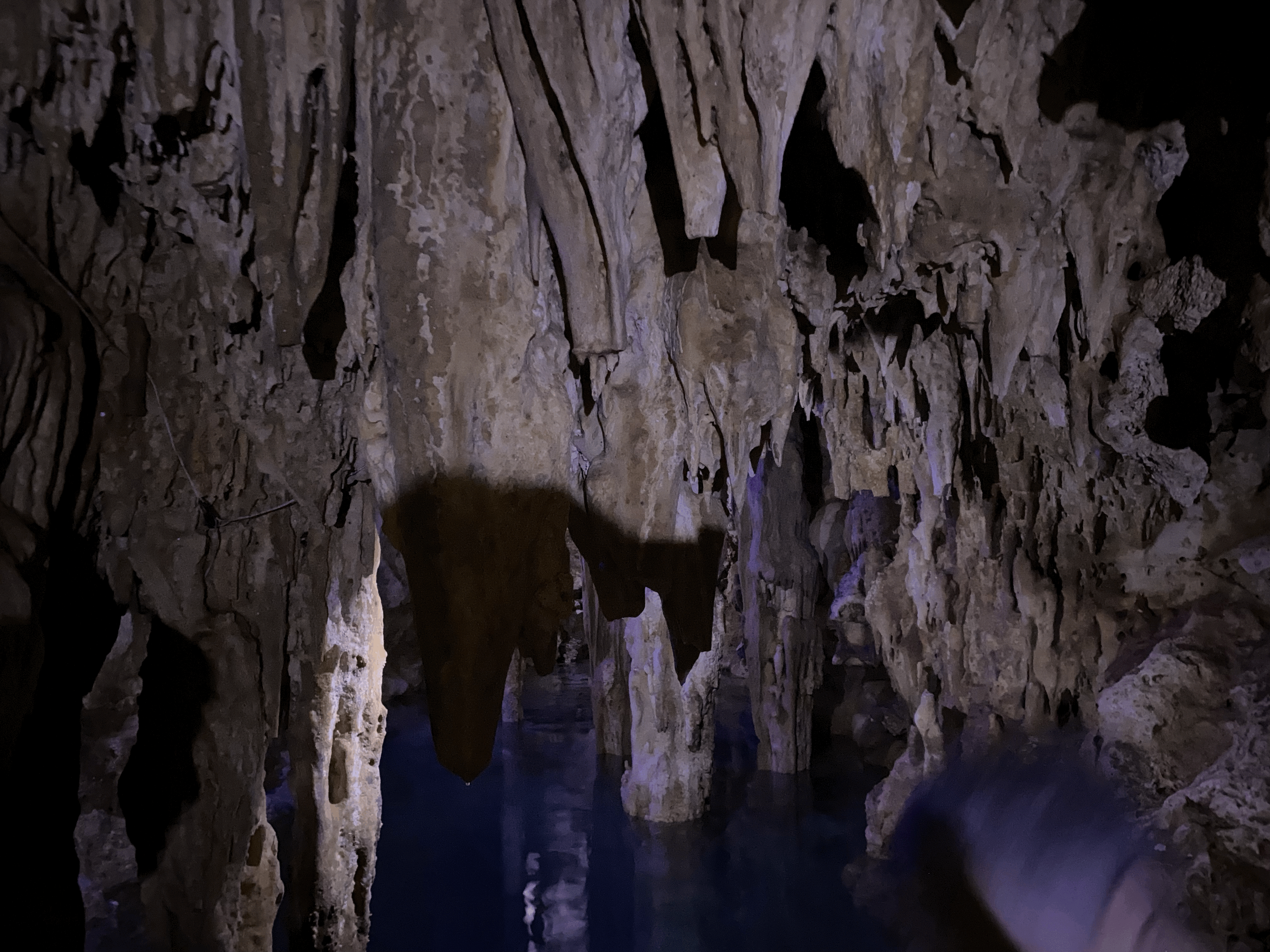 tempImageOMWu3B.gif