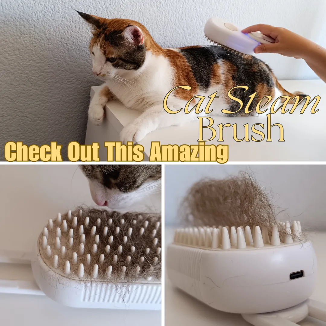 Cat Steam Brush.png