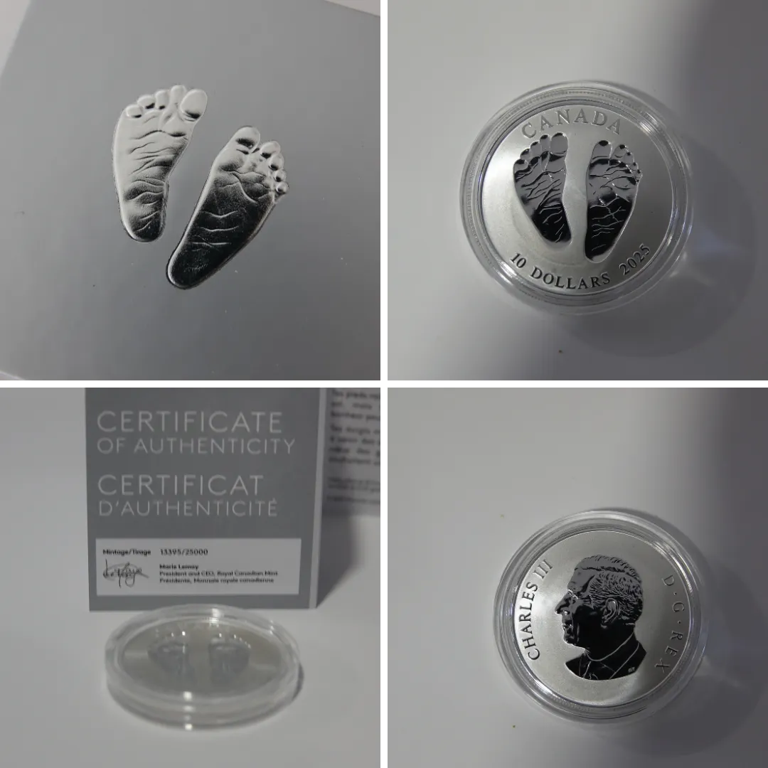 2025 10 dollar fine silver coin - welcome to the world.png