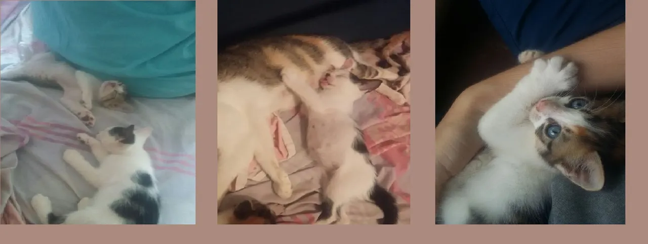 bebes parte 2.jpg