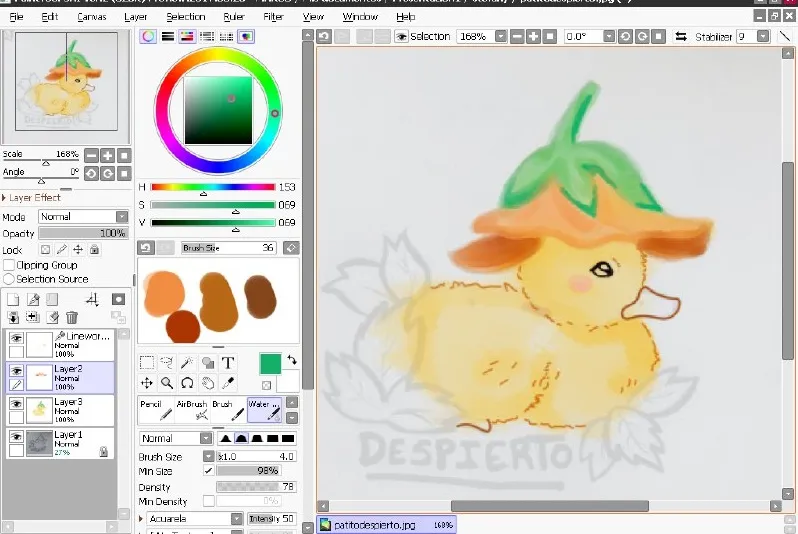 proceso del patito.jpg