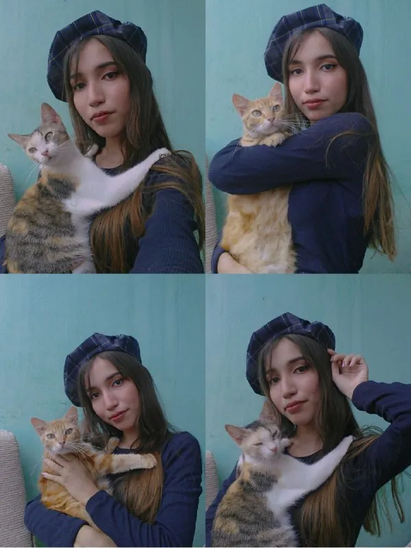 gatos.jpg