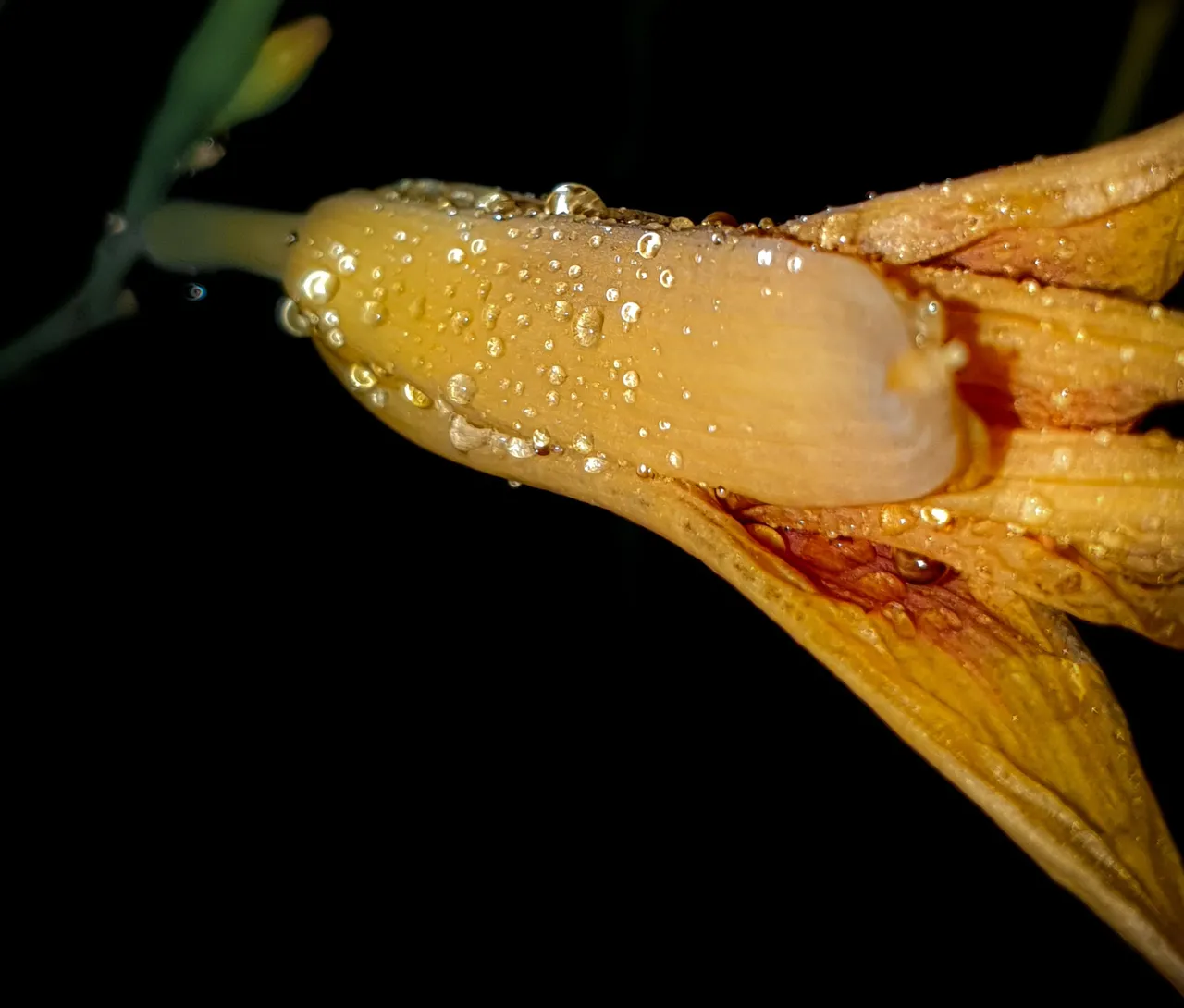 20220708_235138.jpg
