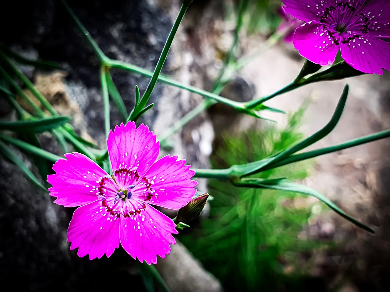 20230619_190019.jpg