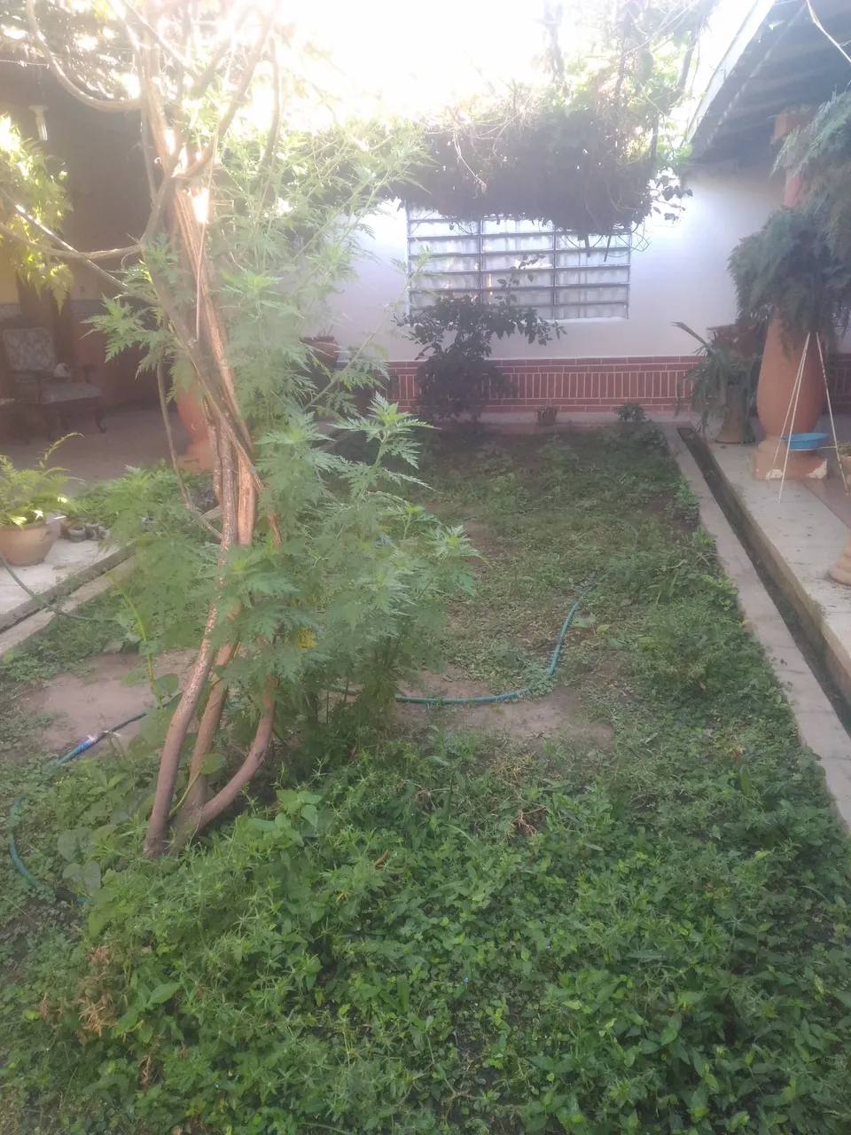 P_20220131_090650.jpg