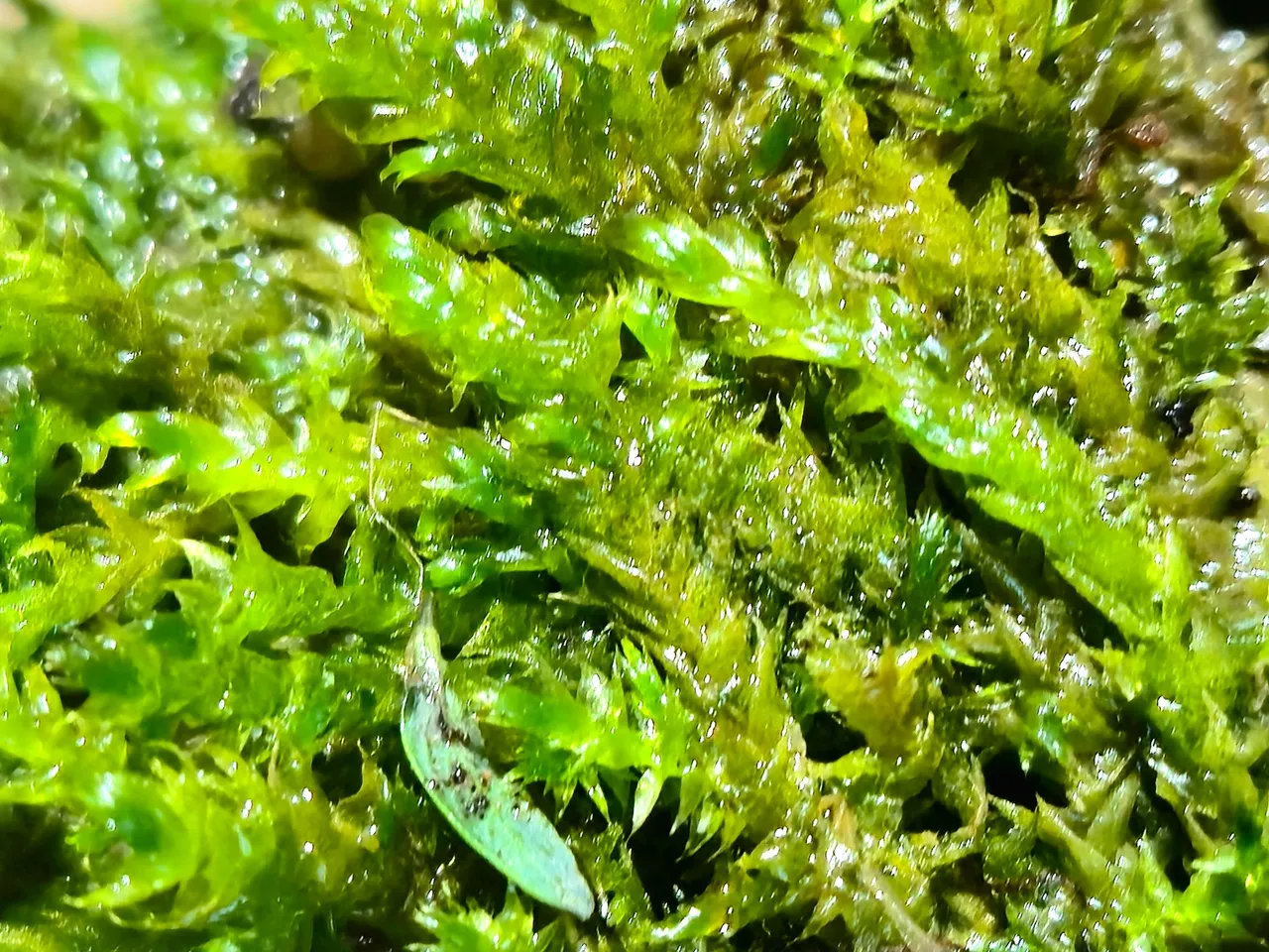 20250717_215233.jpg