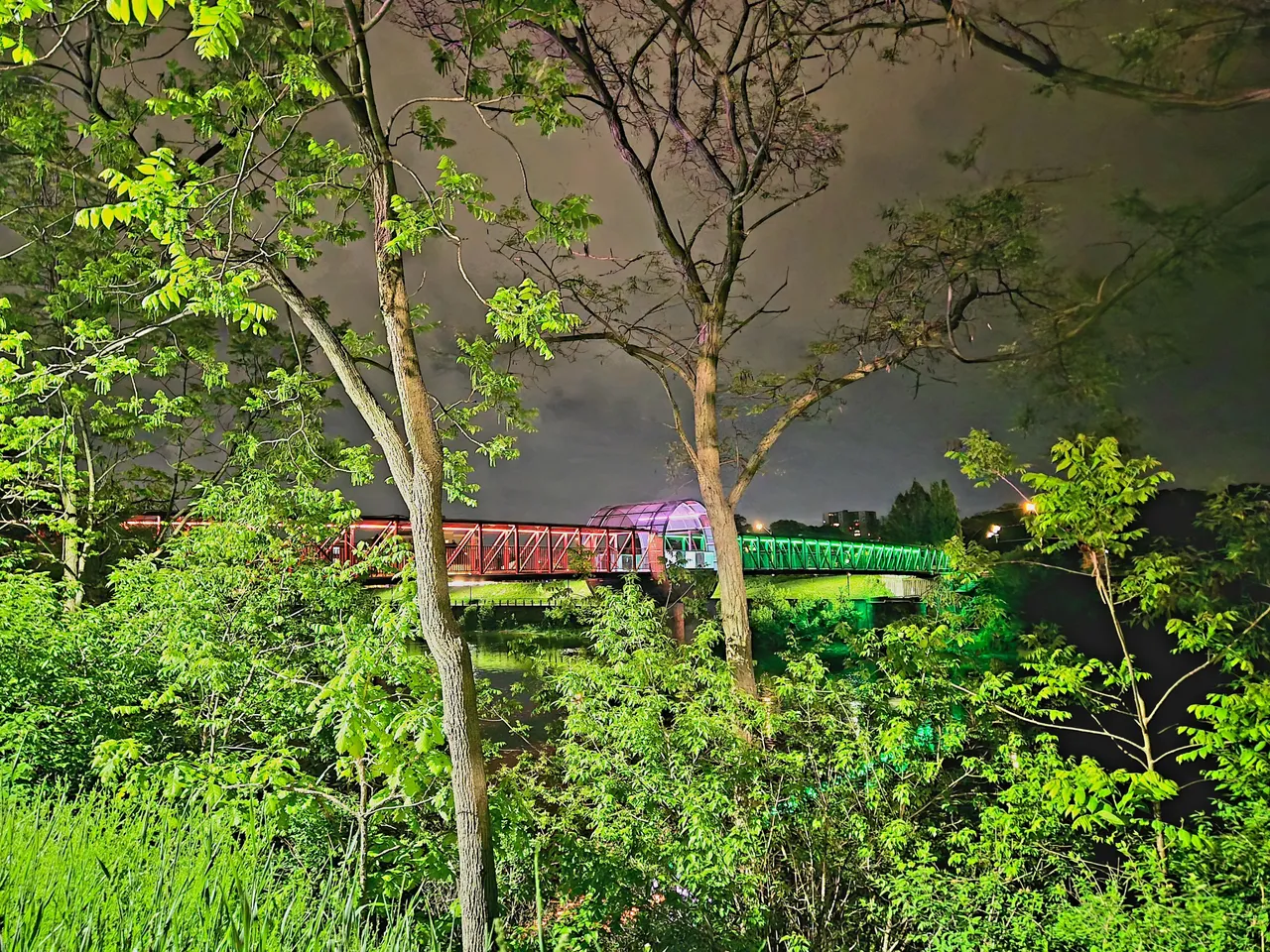 20250530_002530.jpg