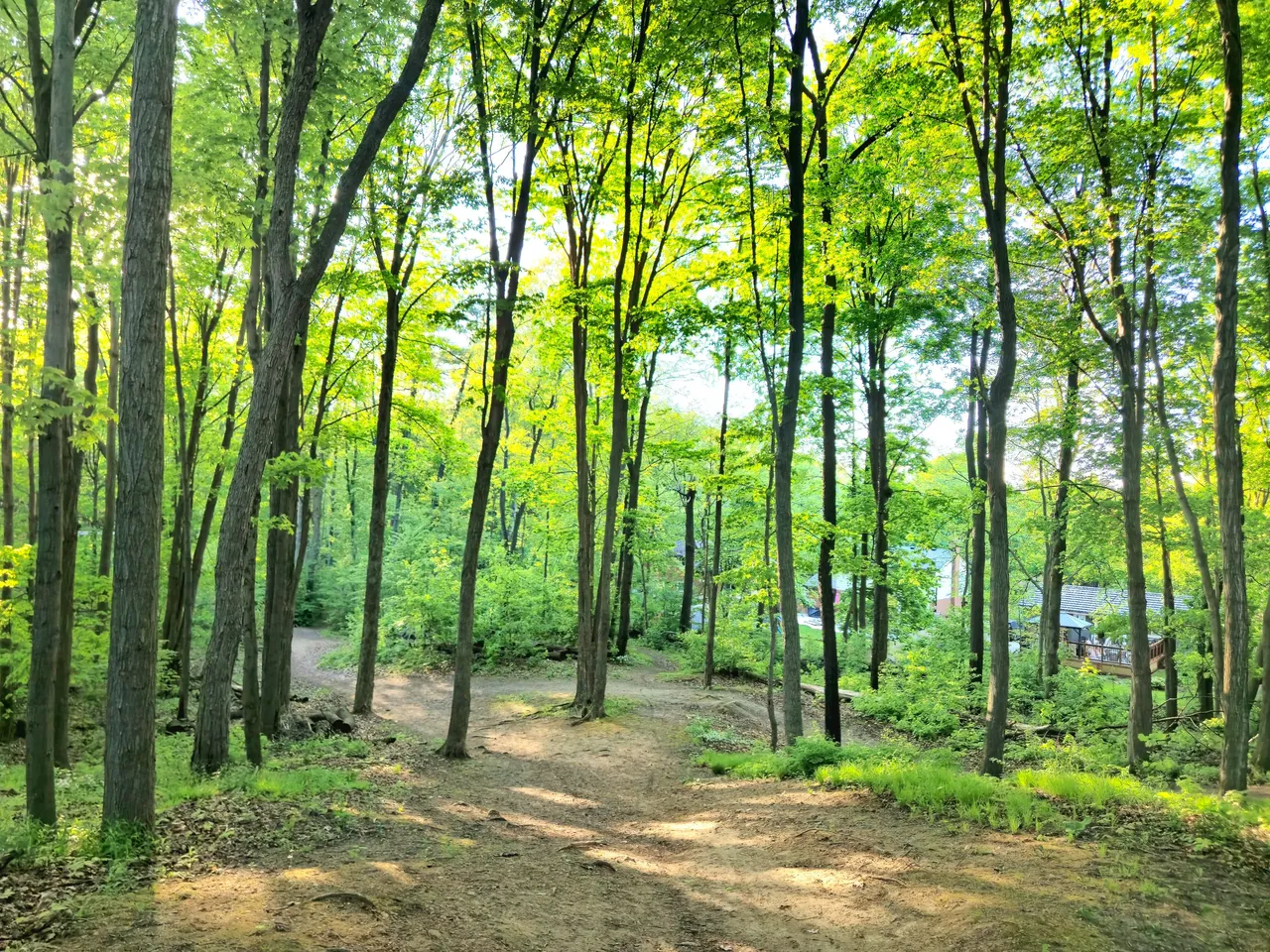 20250516_191357.jpg