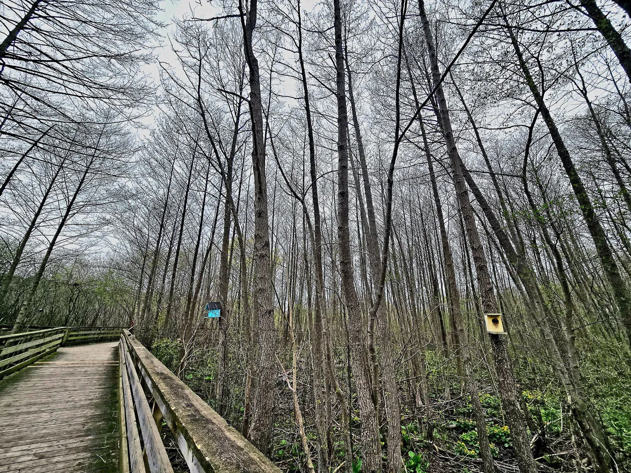 1000113681.jpg