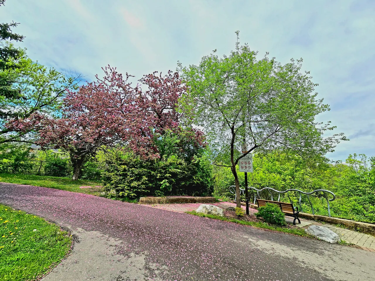 20250517_133840.jpg