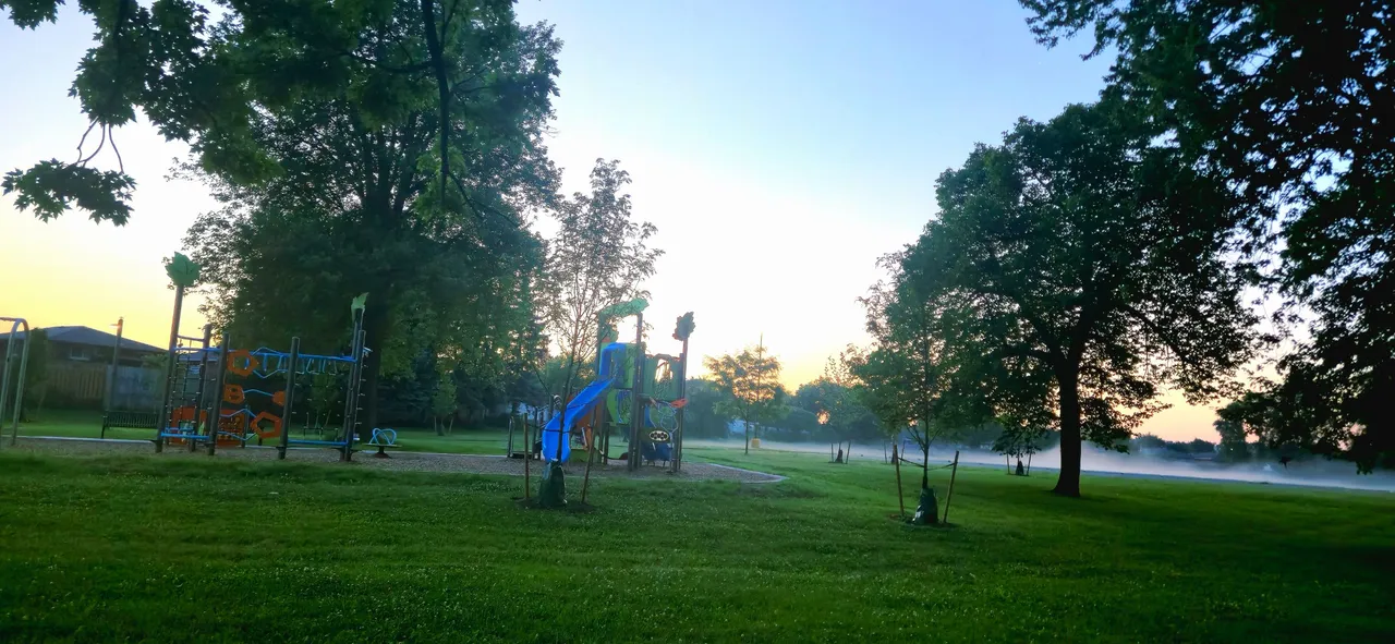 20250623_052755.jpg