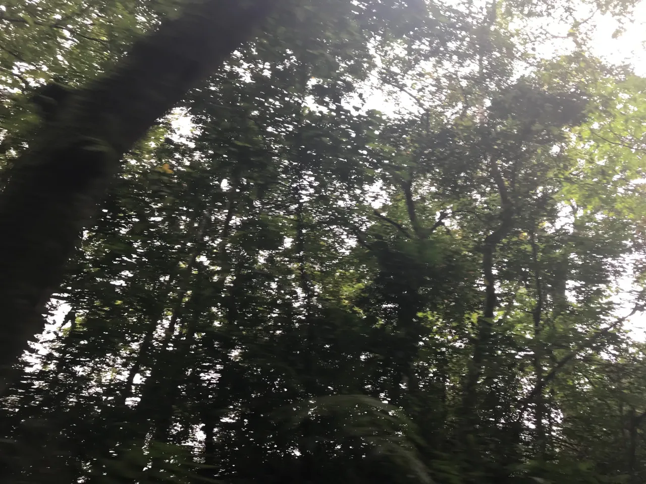 5C034EAE-0924-45C2-BC24-B59F8159DAC7.jpeg