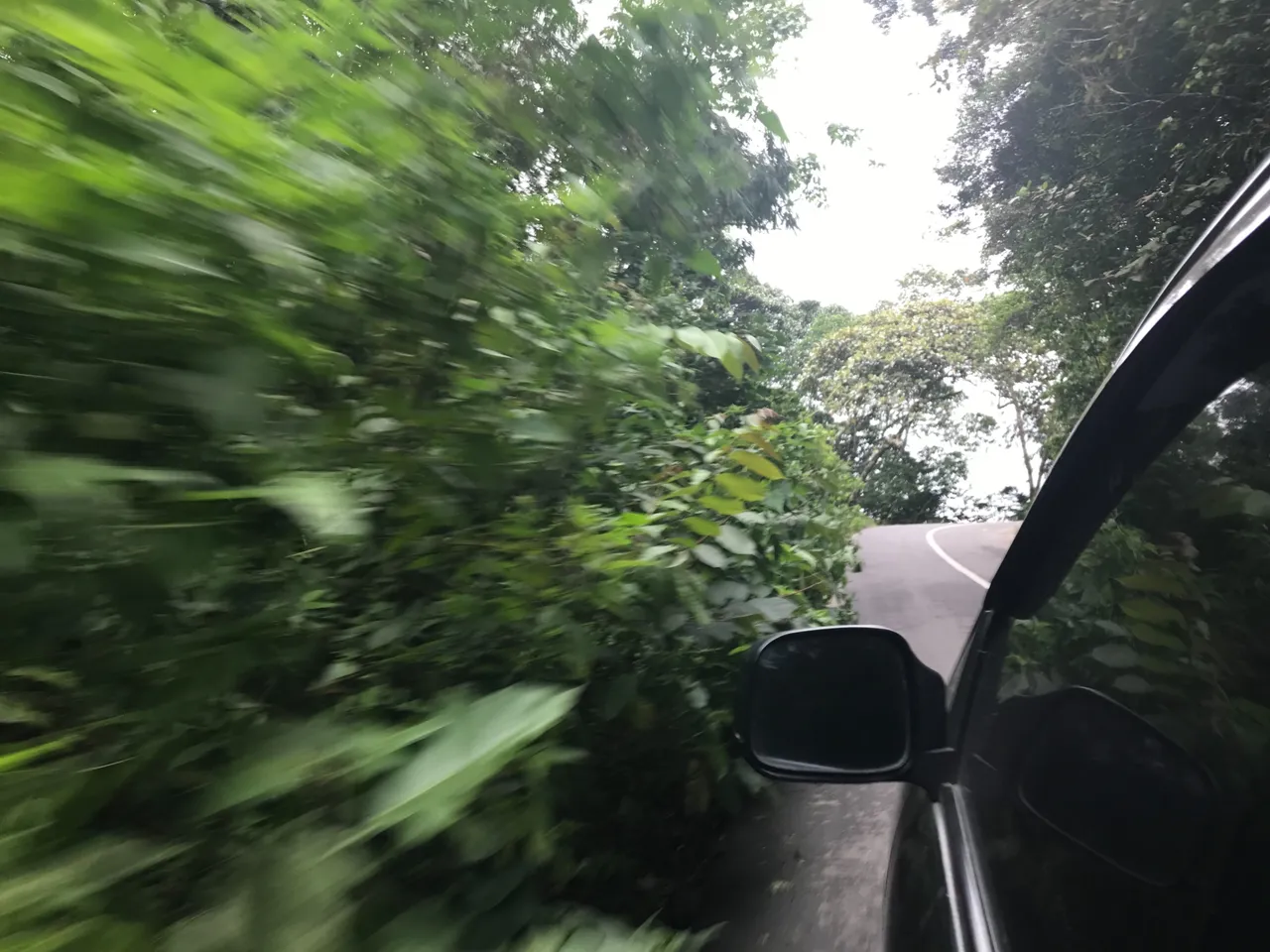 D9E076B9-773B-4860-8808-944E730F2D31.jpeg