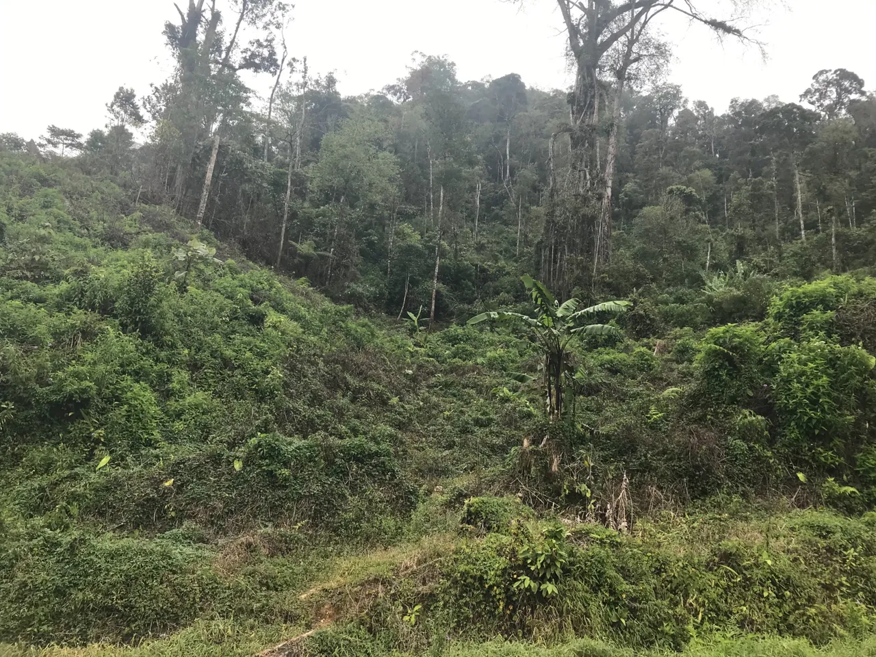 34E8DFFA-CA2E-4C8E-A778-B24730D43BF7.jpeg