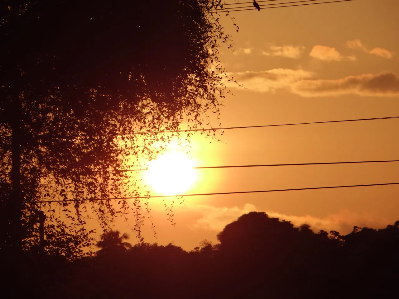 DSC05684.JPG