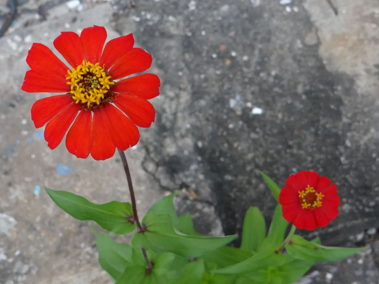DSC05722.JPG