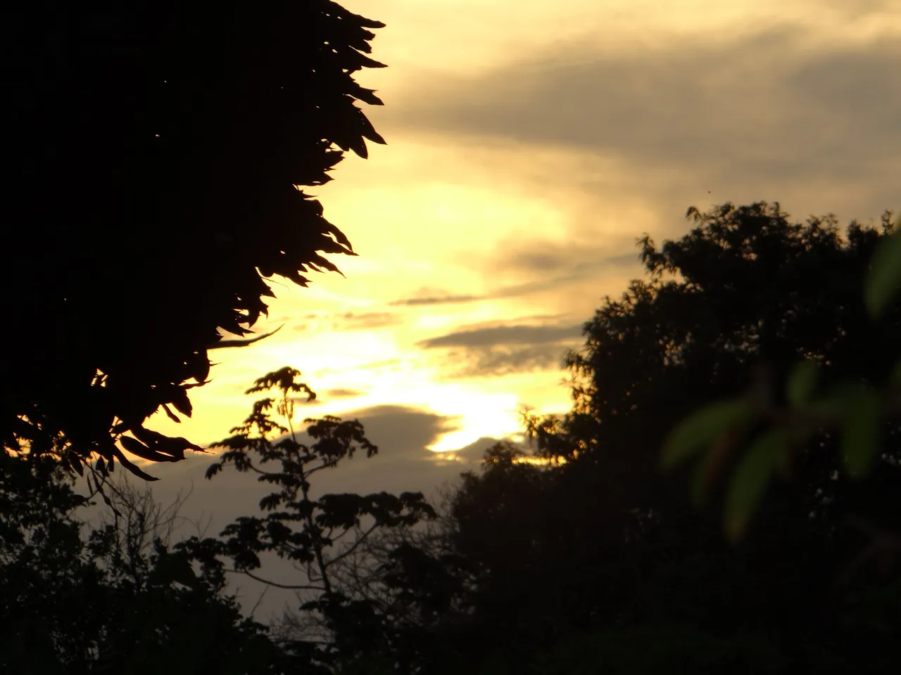 DSC08333.JPG