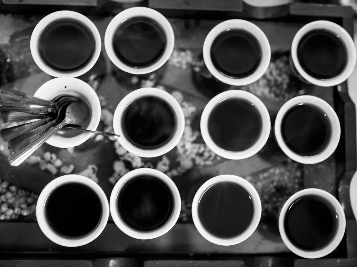 Circles_Coffee_2017_by_Victor_Bezrukov-1.jpg