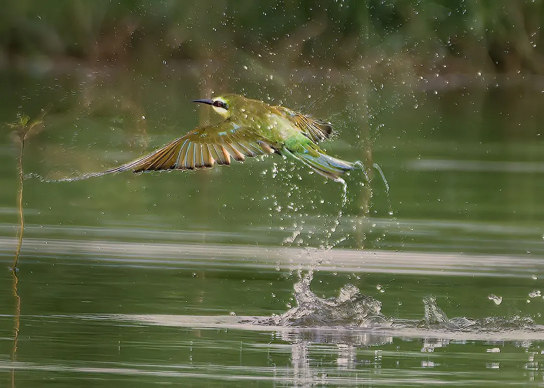 PS_DS11861_DxO-SharpenAI-Motion (1)_DxO-1080 INSTA 1080.jpg