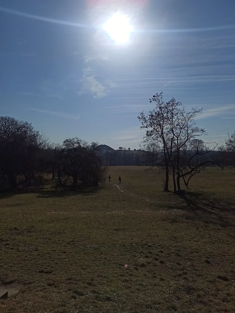 1644937719343.jpg