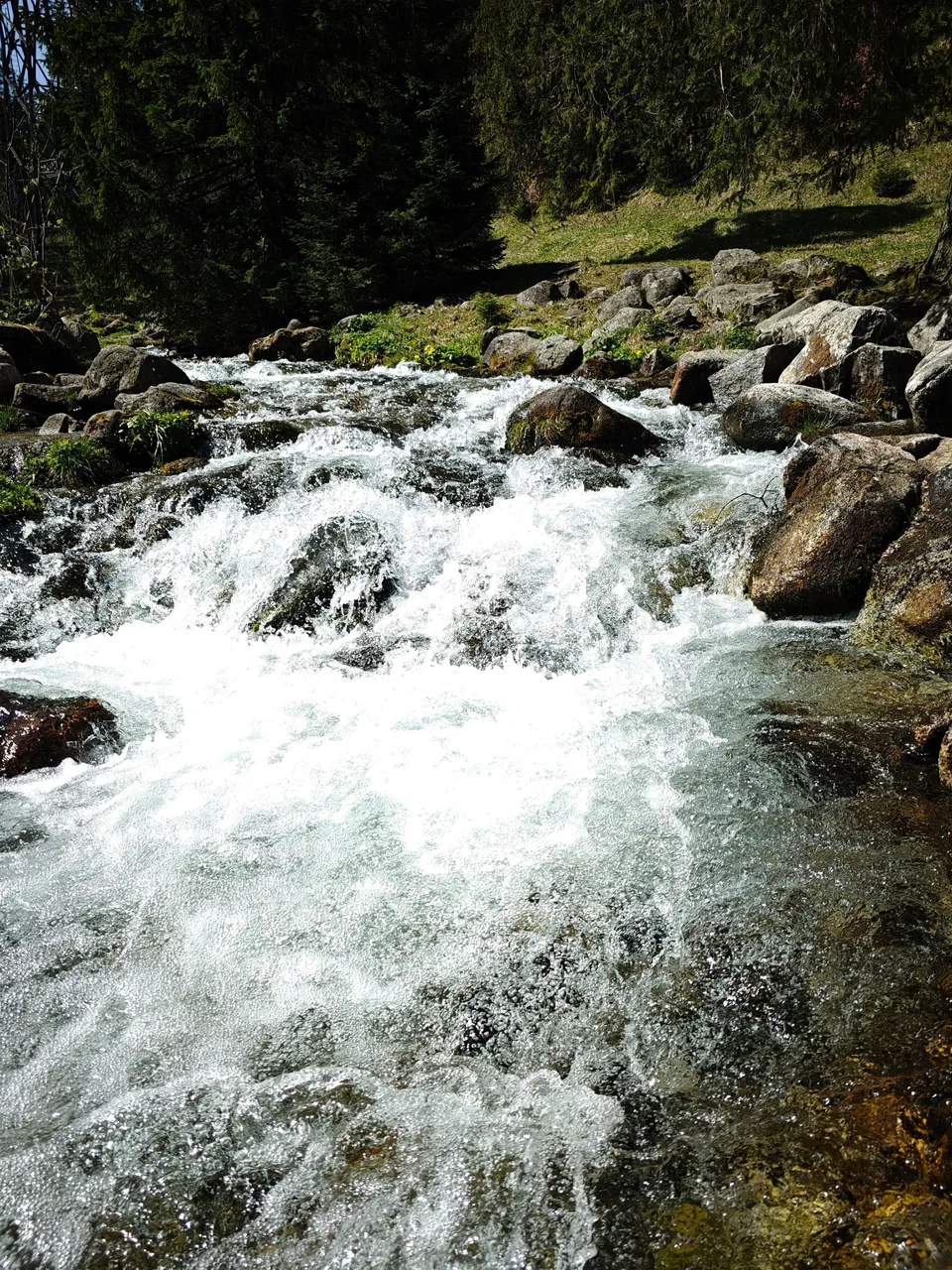 IMG20240429110120.jpg