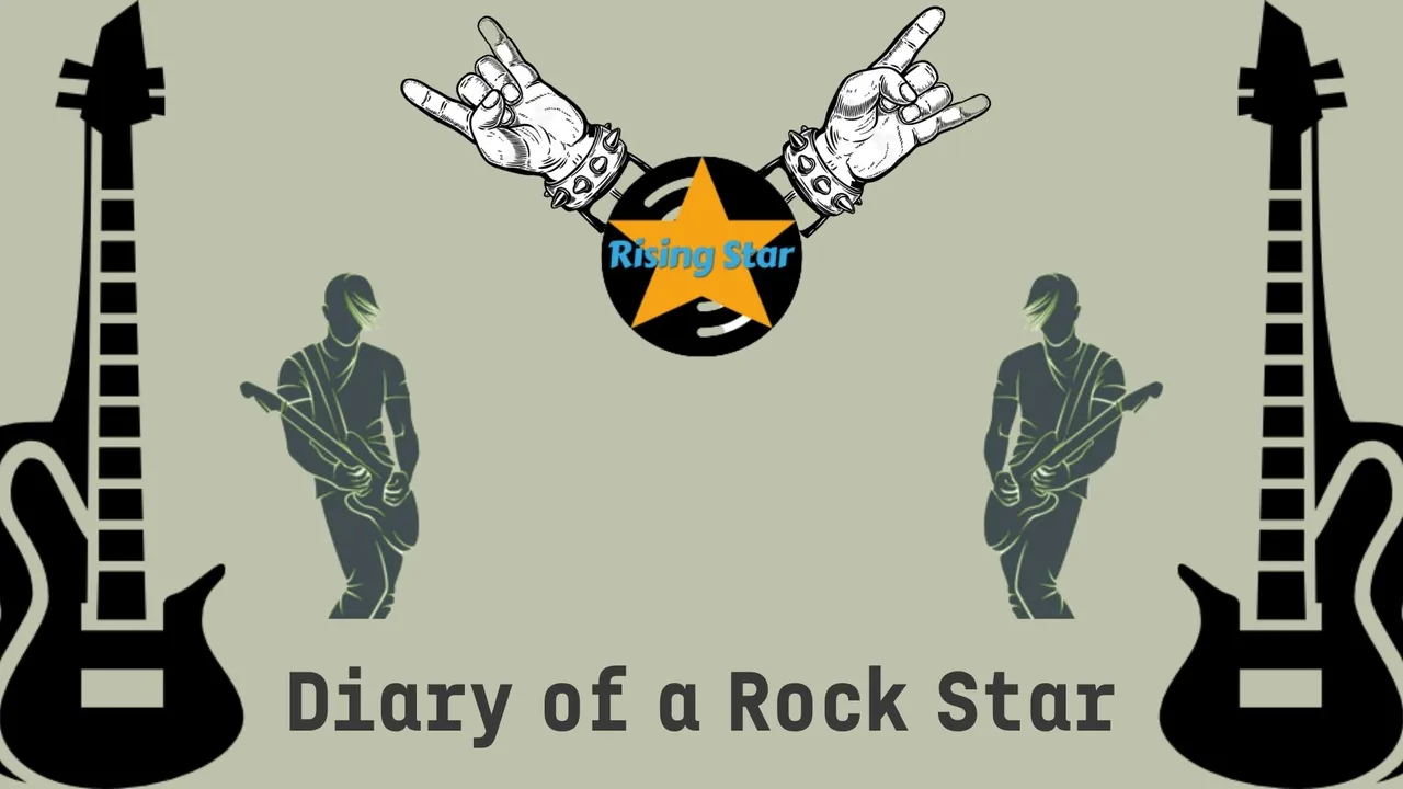 Diary of a Rock Star.jpg
