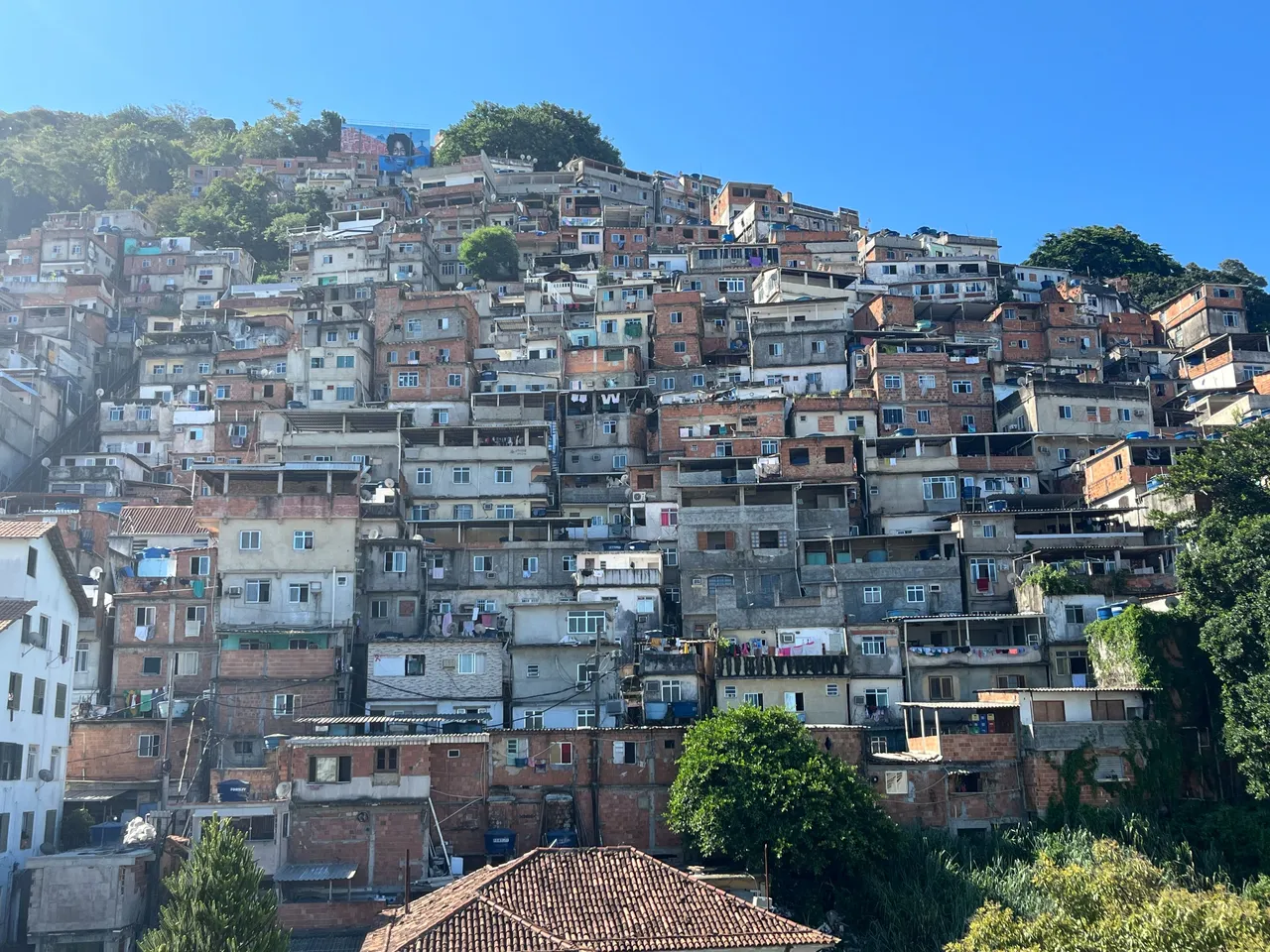 view from the rooftop of my airbnb