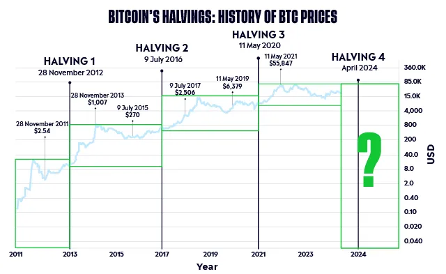 7464-_-End-of-2023-Yearly-Summary-Campaign-Graphs-V1_7464_Bitcoin_Halving_White_BG-2.jpg