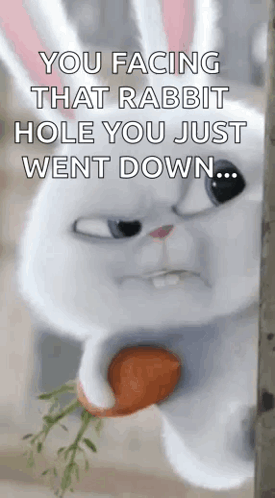facing-that-rabbit-hole-you-just-facing-down-rinvwjd8tcuh3m2m.gif