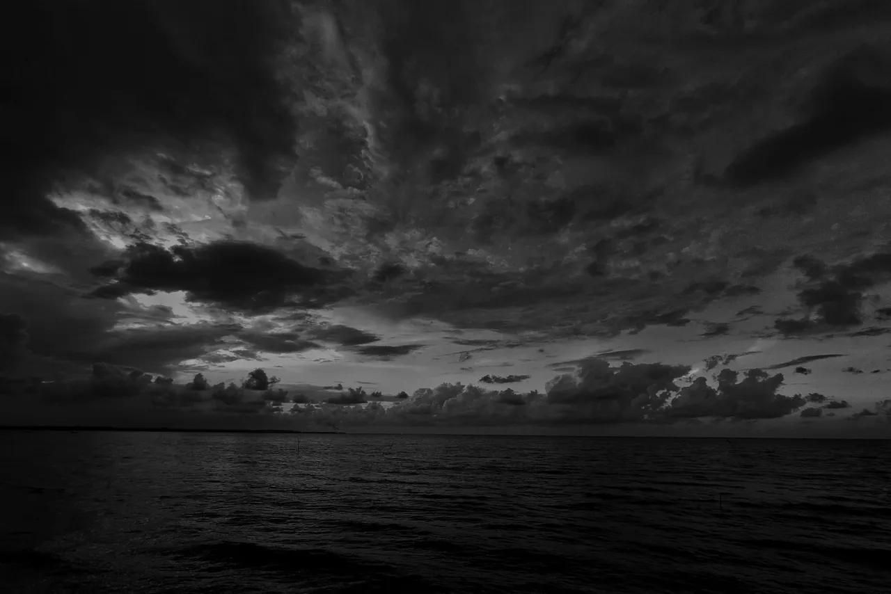 IMG_20220122_182908-01-01.jpeg