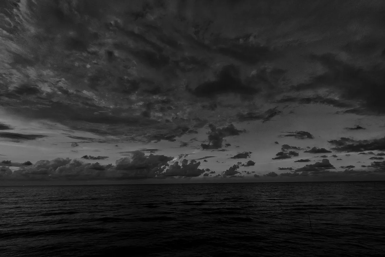 IMG_20220122_182905-01-01.jpeg
