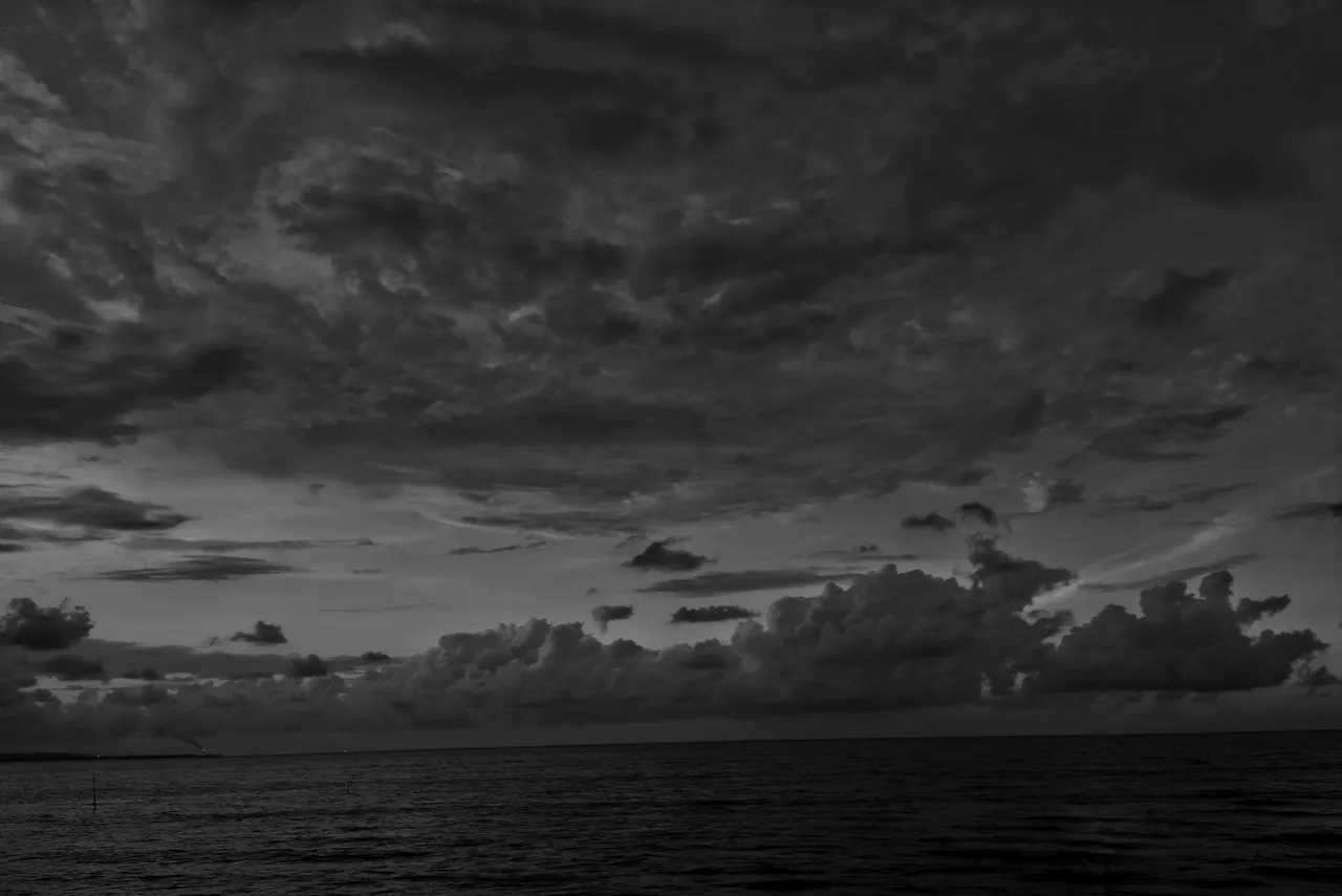 IMG_20220122_182556-01-01.jpeg