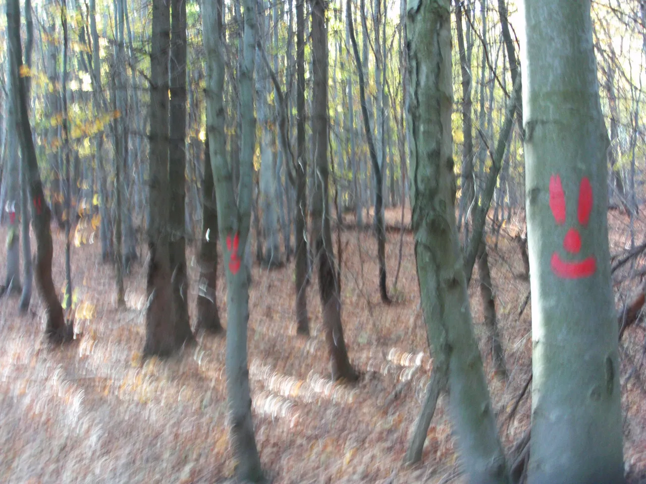 FILE0052.JPG
