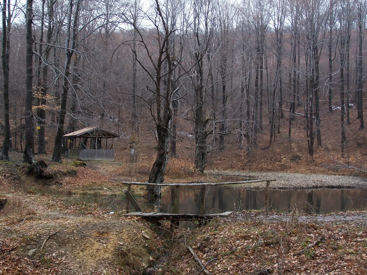 100_4800.JPG