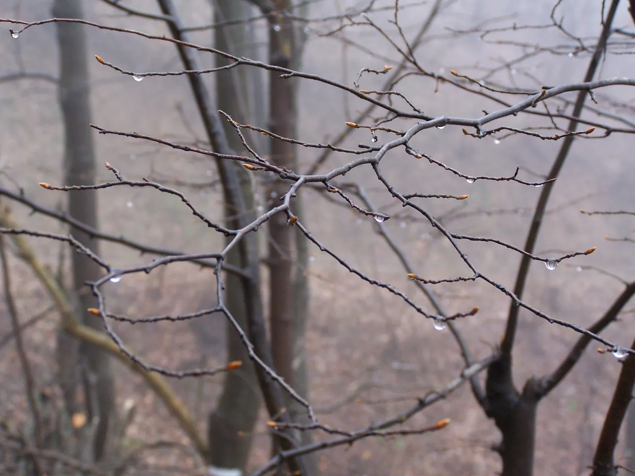 100_4709.JPG