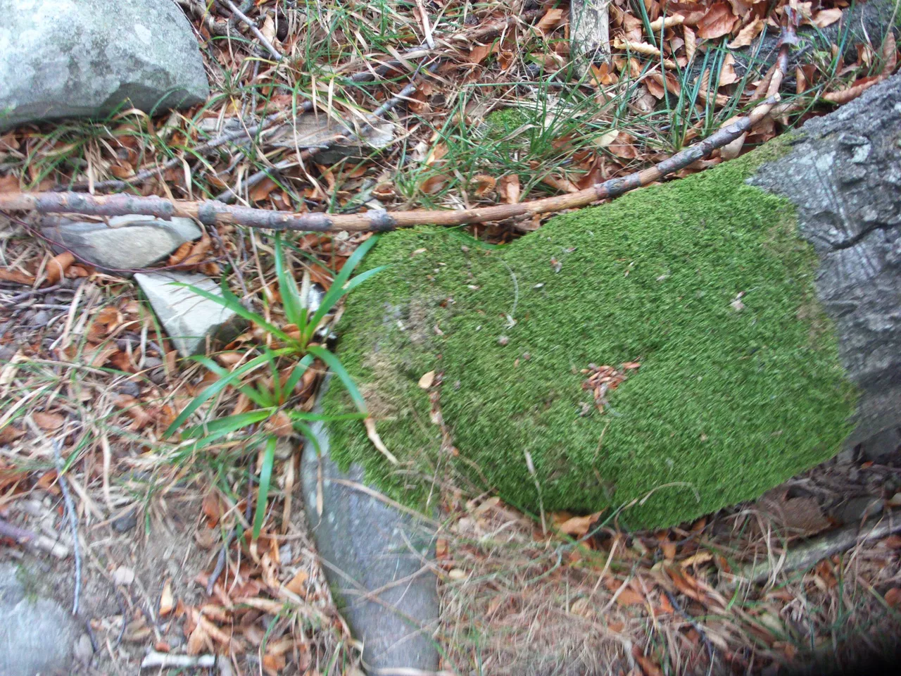 FILE0025.JPG