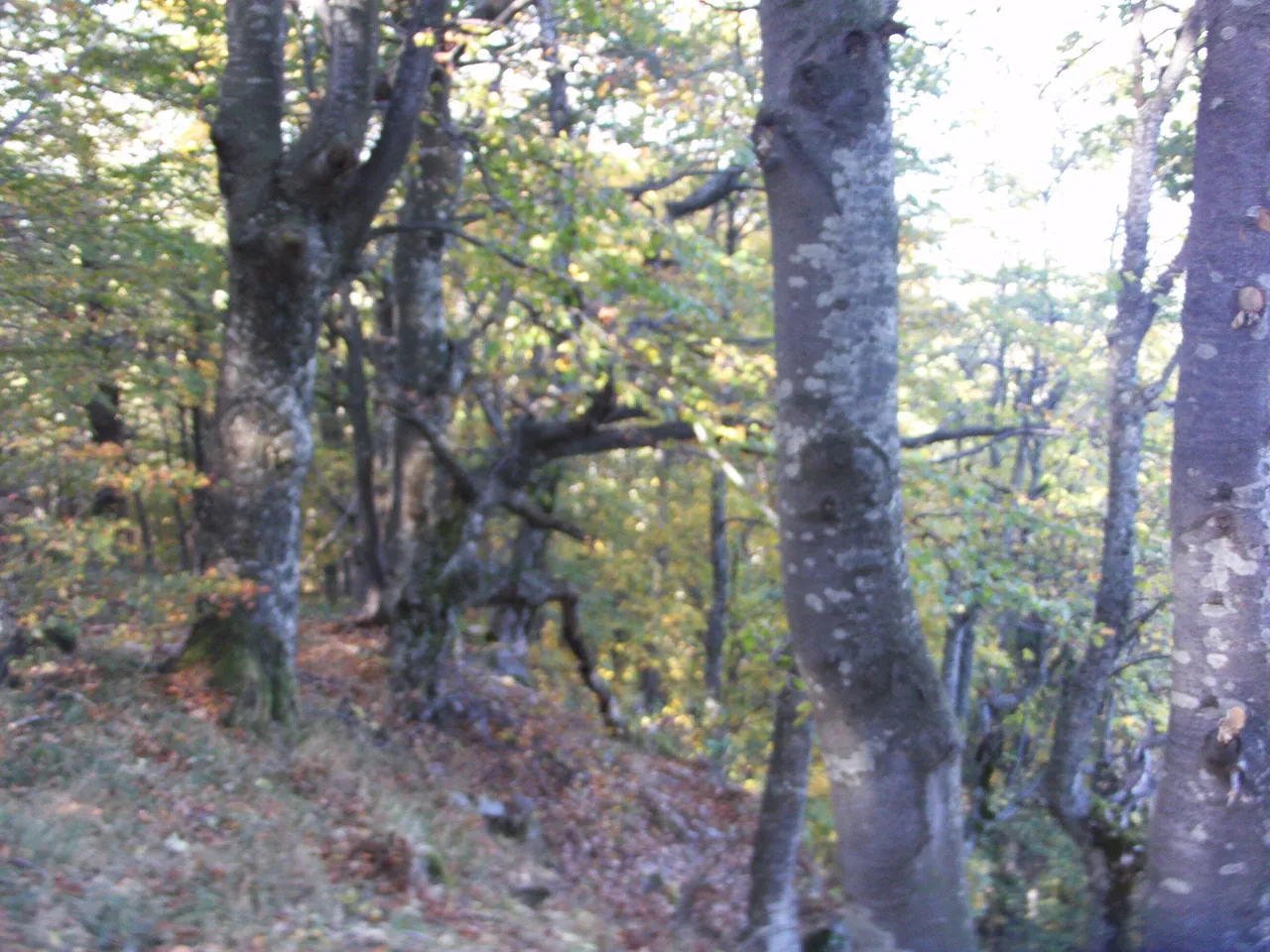 FILE0045.JPG