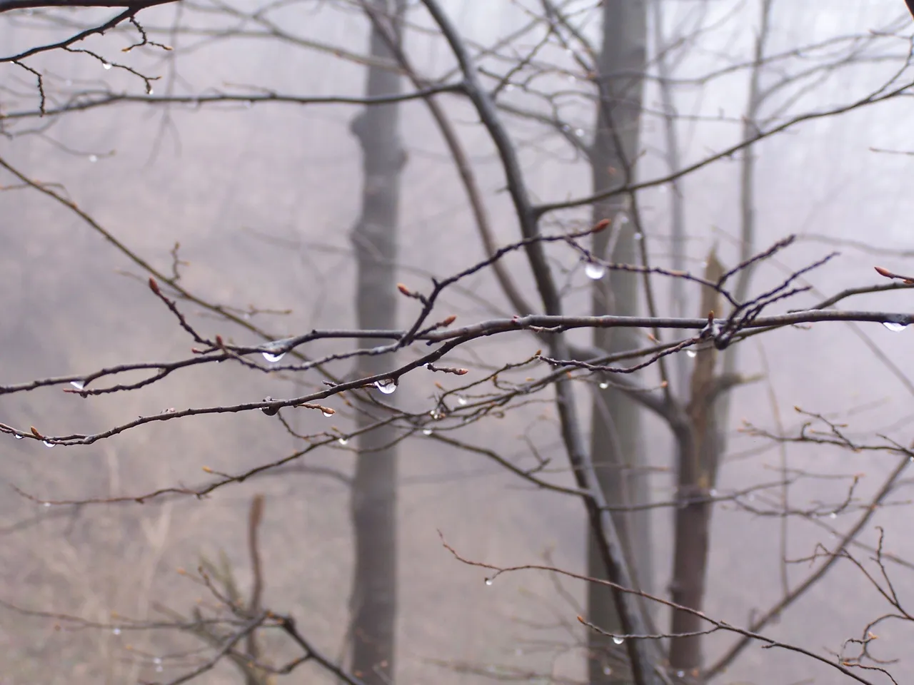 100_4704.JPG