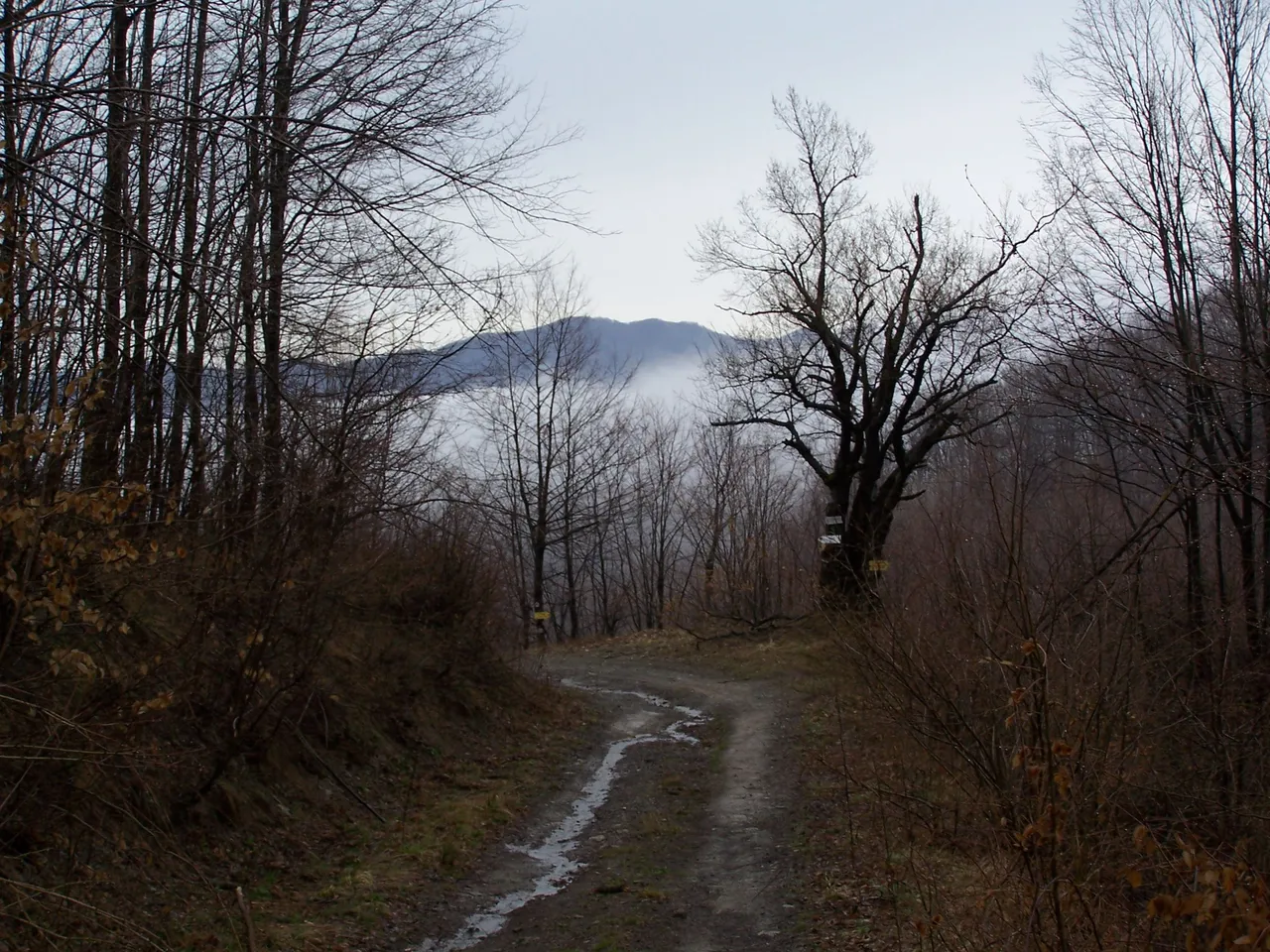 100_4784.JPG