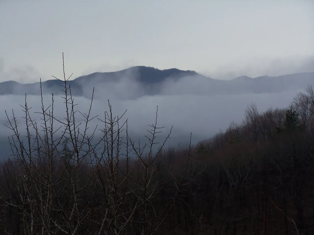 100_4730.JPG