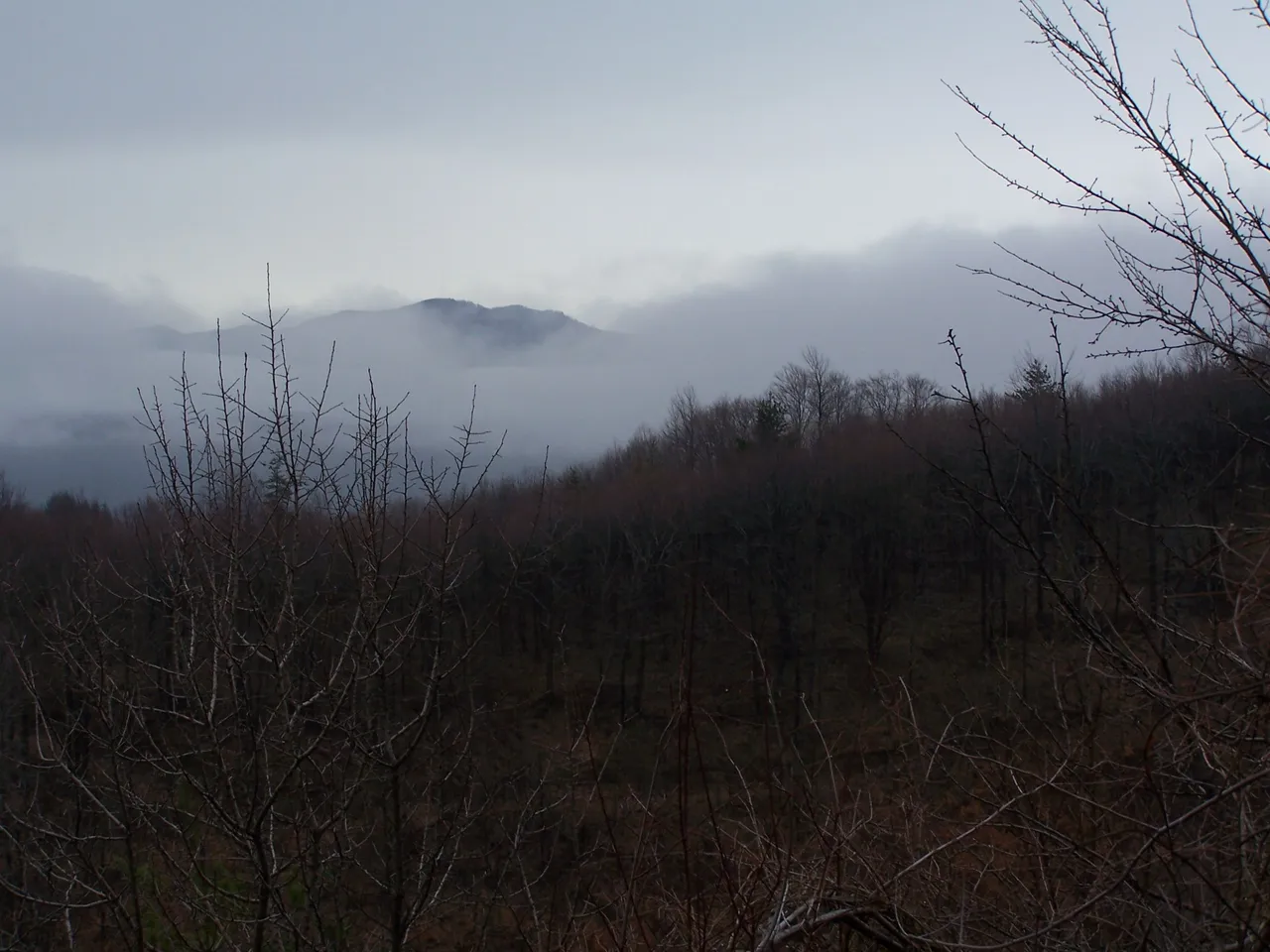 100_4735.JPG