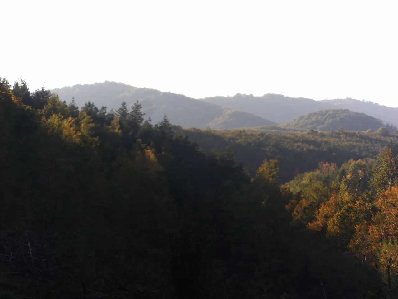 FILE0013.JPG