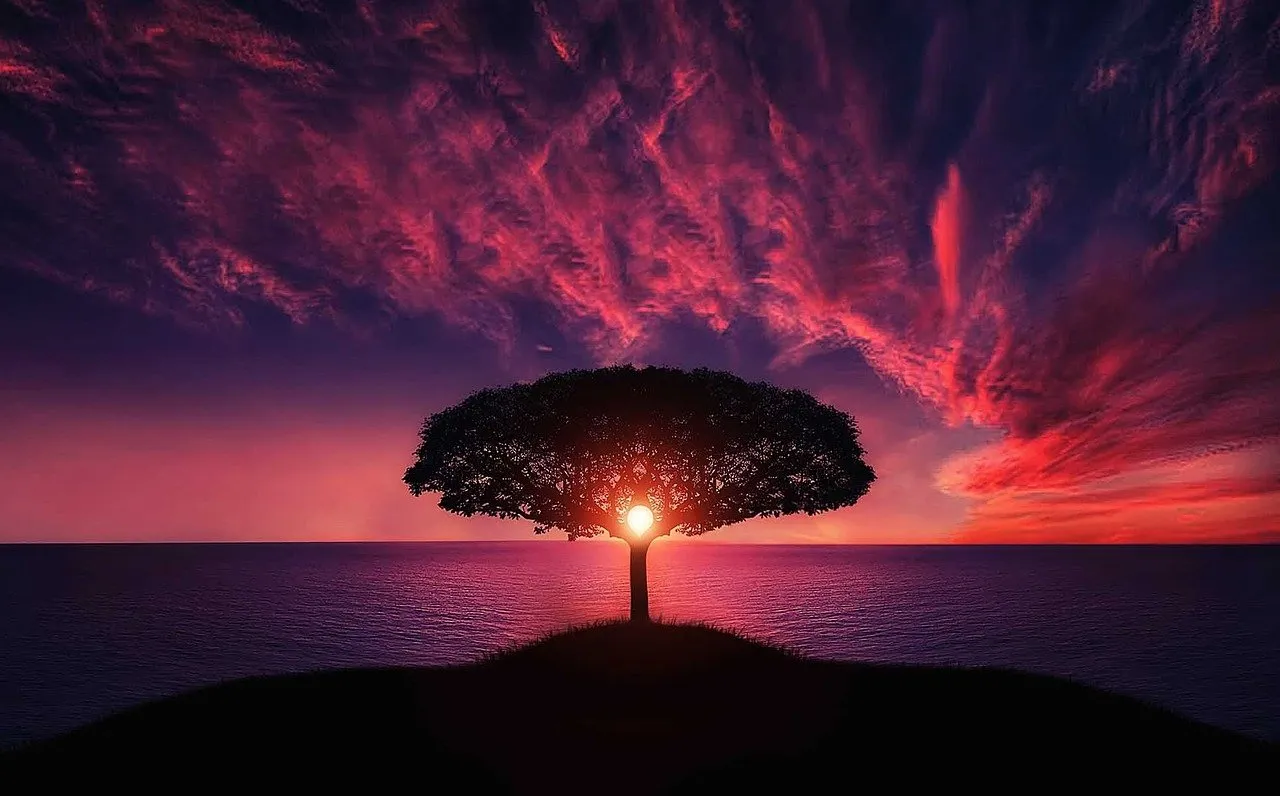 4HFqJv9qRjVeVQzX3gvDHytNF793bg88B7fESPieLQ8dxJ2Bjuk2Ka1J3yhDA5iTdFoj8FrkhrfMhD3uKhmp4YiVEfWst9nz6GxqdosoNNFtfkK9bDr2QSBz831NDAjh4mWnGQpXDzvKBcKrPuYHaeMuiEVgJzHrA5t.jpeg