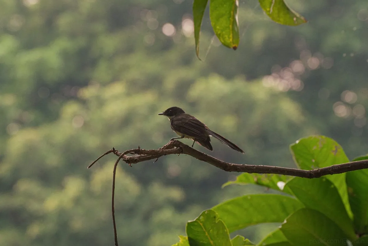DSC_6847.JPG