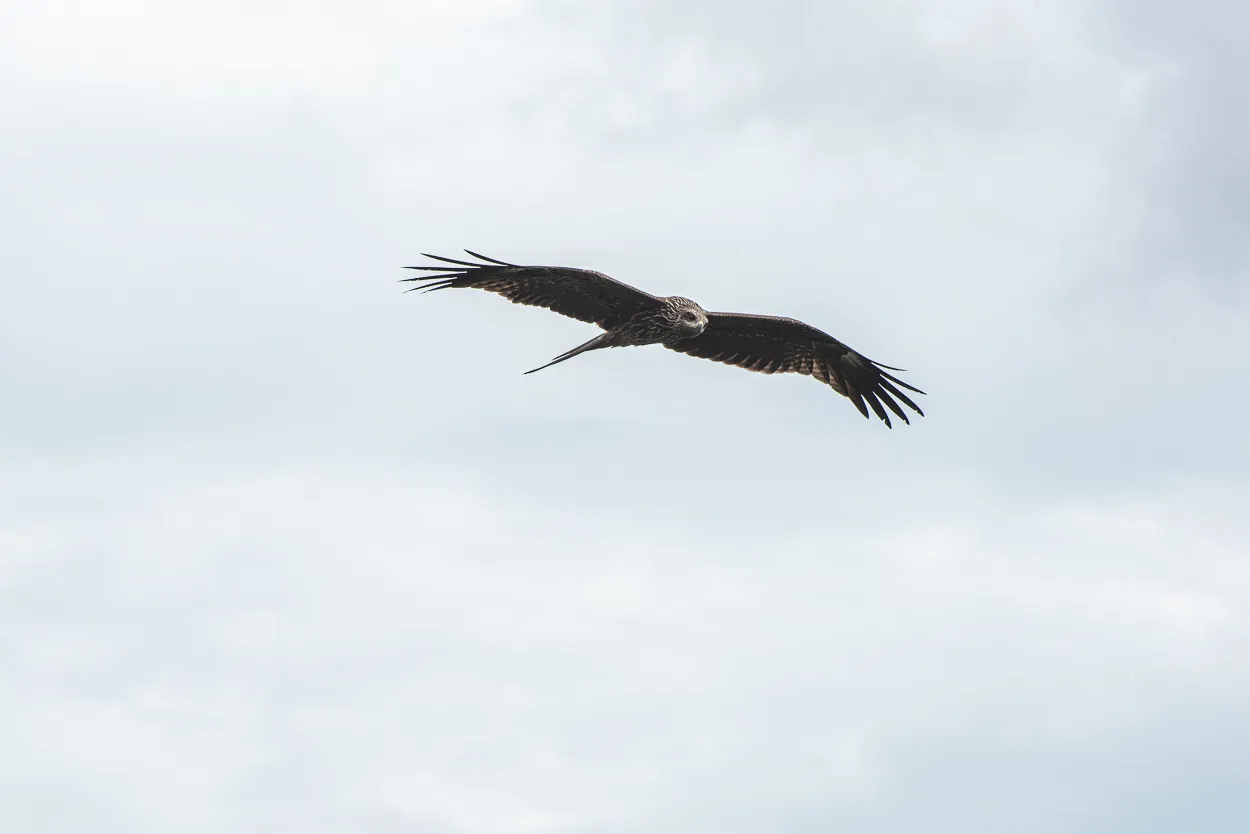 DSC_5839.JPG