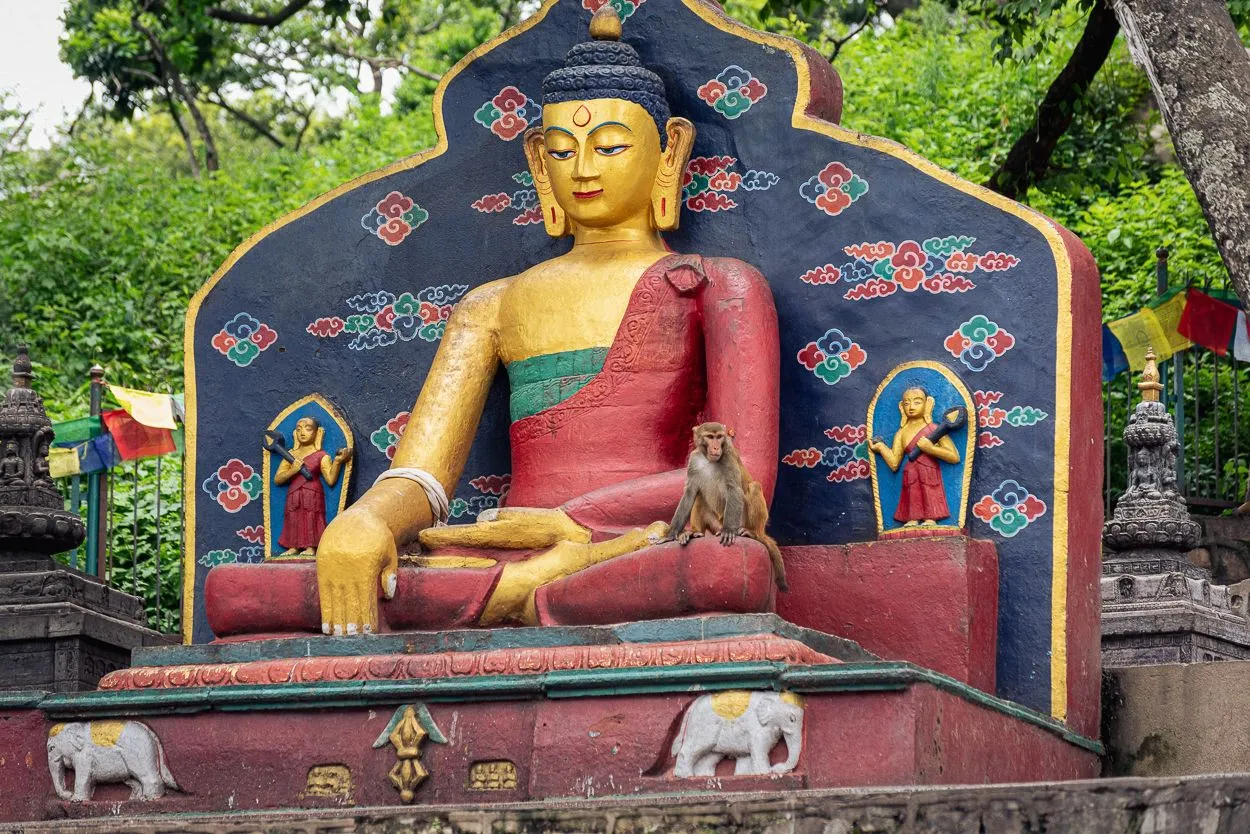 DSC_5459.JPG